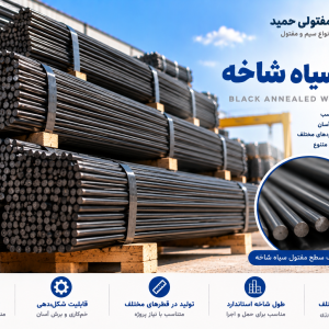 مفتول سیاه شاخه